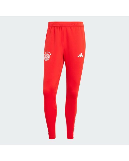 Pantaloni da allenamento Tiro 23 FC Bayern München di Adidas in Red da Uomo