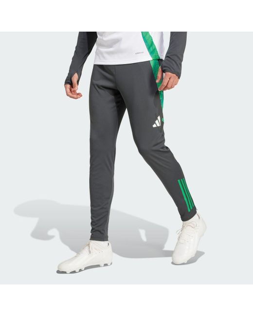 gray adidas pants