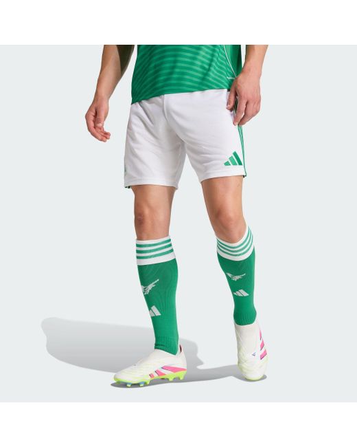 Adidas Green Newcastle United Fc 25/26 Away Shorts for men