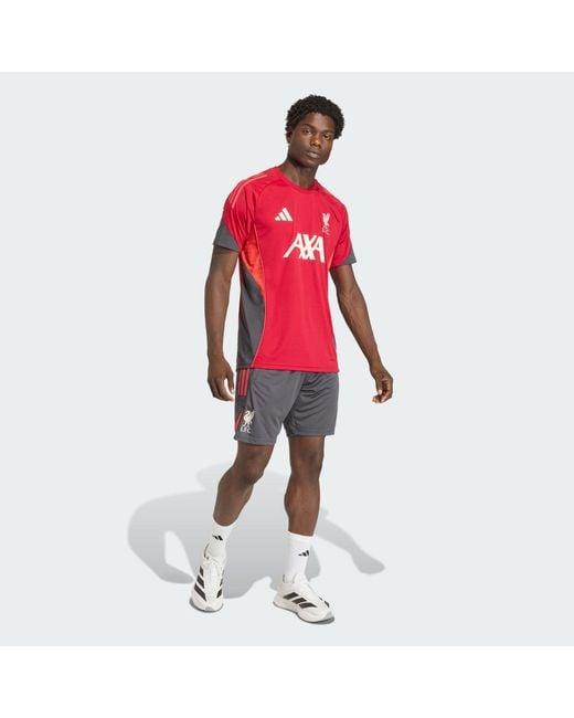 Adidas Multicolor Liverpool Fc Tiro 25 Competition Training Shorts for men
