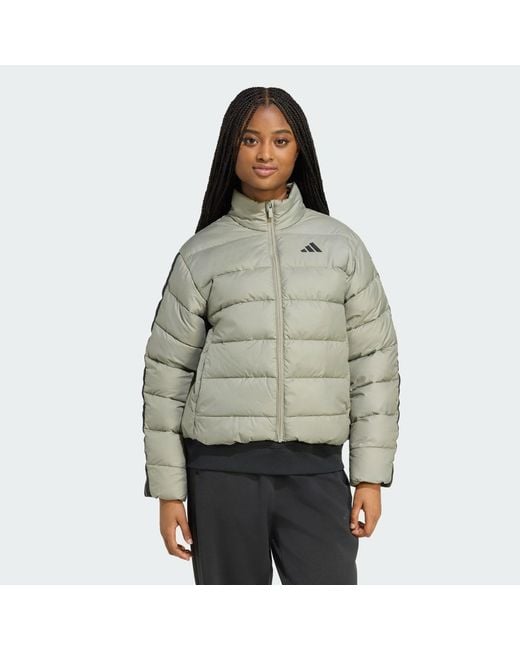 Adidas Green Essentials Climawarm 3-Stripes Synthetic Down Jackets