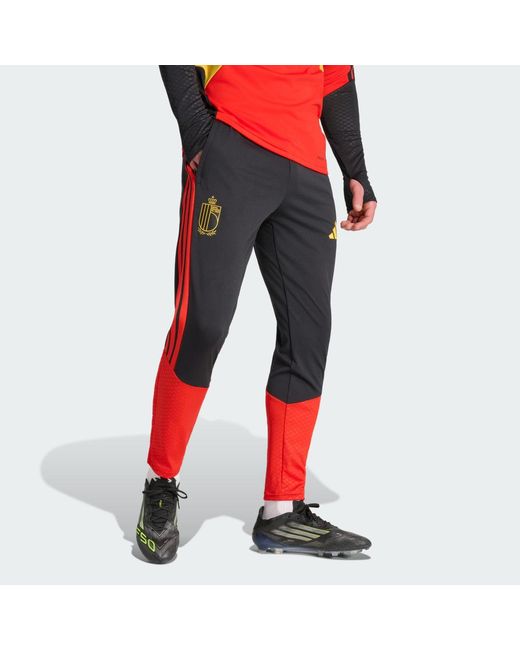 Adidas Red Belgium 26 Tiro Training Pants for men