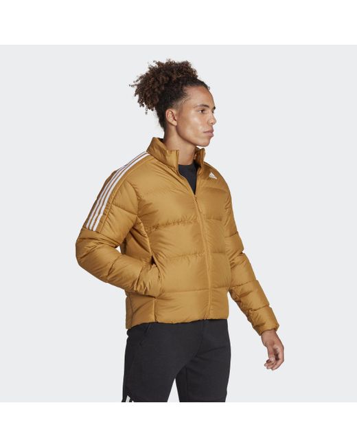 Adidas Brown Essentials Midweight Down Jacket for men
