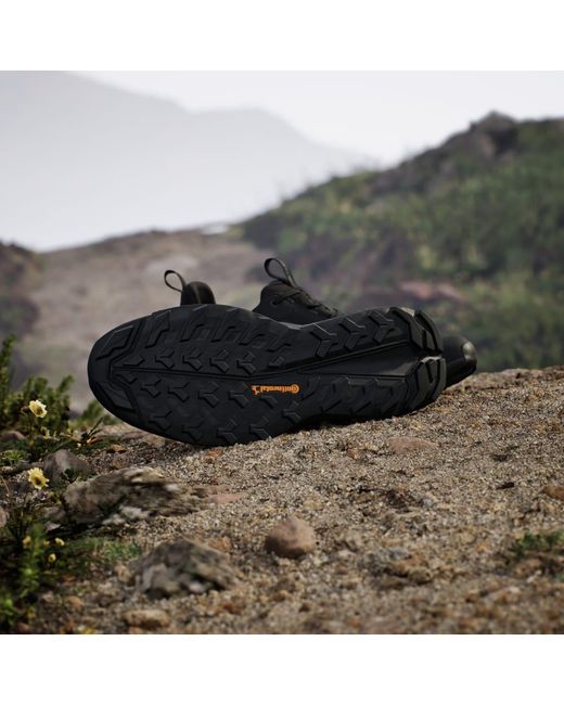 Adidas Black Terrex Free Hiker 2.0 Low Gore-Tex Hiking Shoes for men