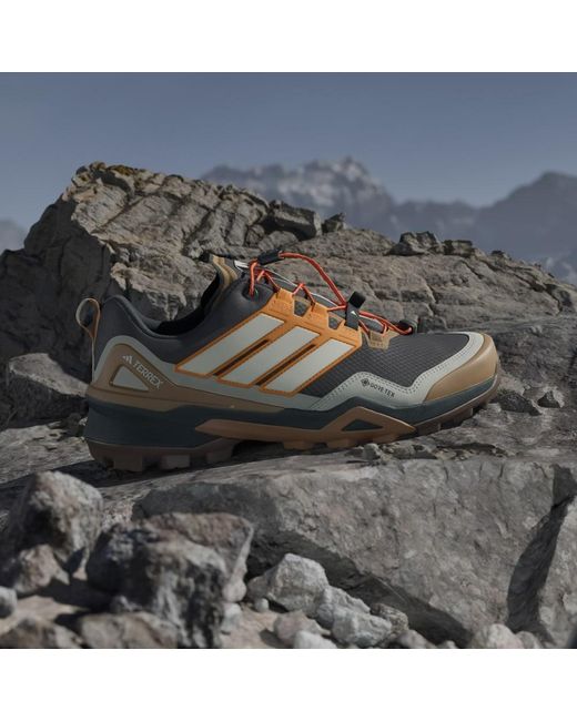 Adidas Multicolor Terrex Skychaser Gore-Tex Hiking Shoes for men