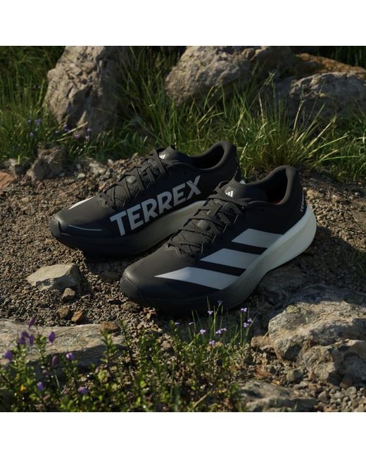 Adidas Blue Terrex Agravic 4 Trail Running Shoes for men