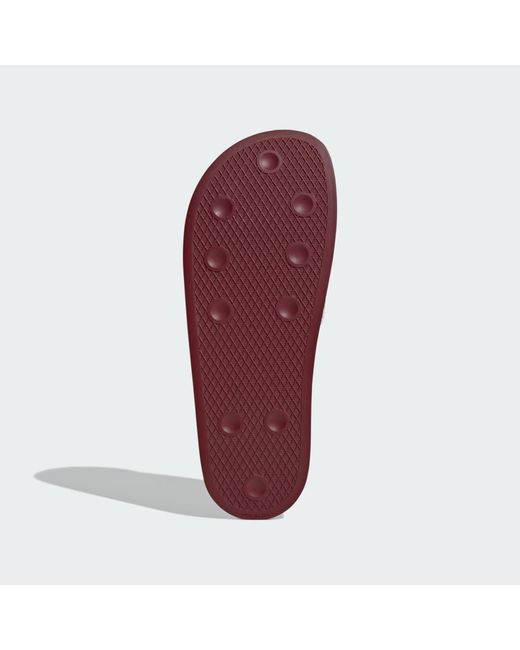 Adidas Red Trefoil Slide