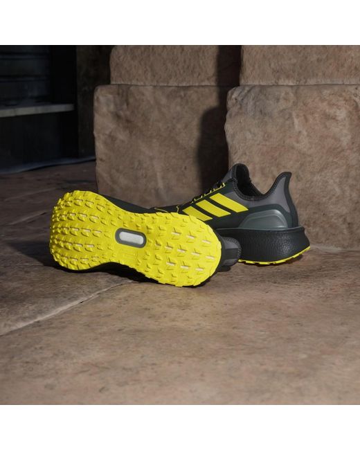 Adidas Green Ultraboost Gtx for men