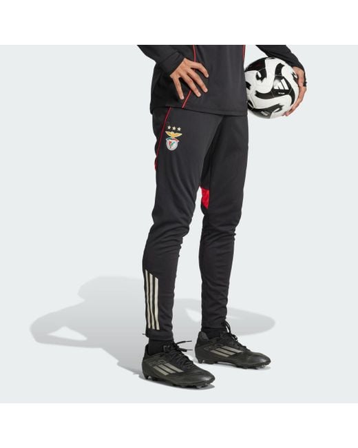 Adidas Gray Benfica Tiro 25 Competition Training Pants for men