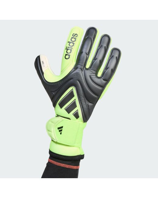 Guanti Copa Pro Portiere di Adidas in Green