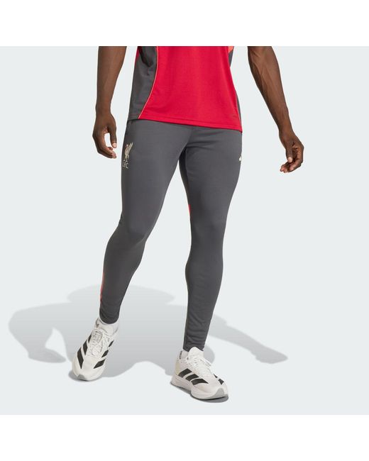 Adidas Red Liverpool Fc Tiro 25 Competition Training Pants for men
