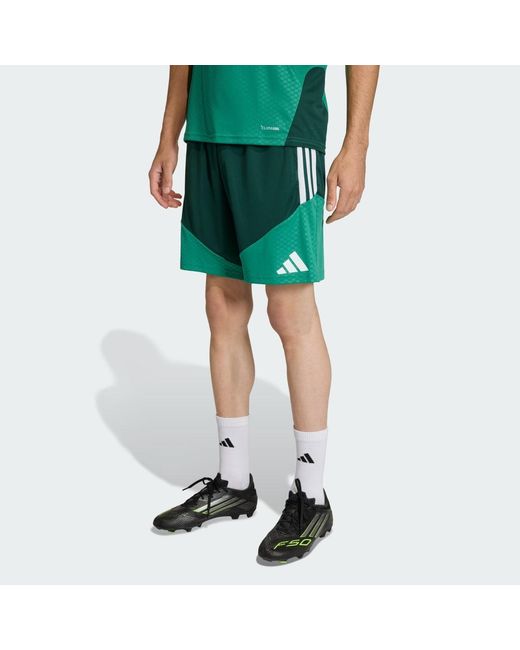 Adidas Green Algeria 26 Training Shorts for men