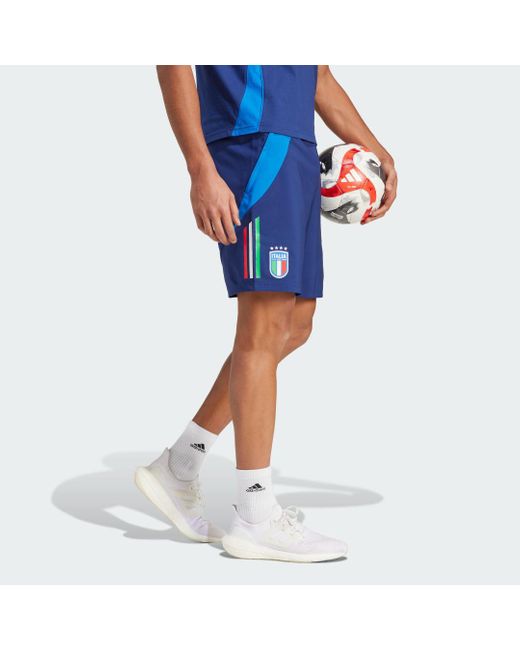 Adidas Blue Italy Tiro 24 Competition Downtime Shorts for men