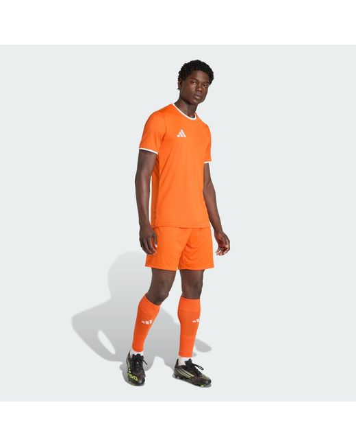 Adidas Orange Entrada26 Jersey for men