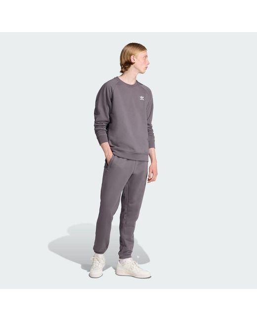 Adidas Gray Trefoil Essentials Pants for men