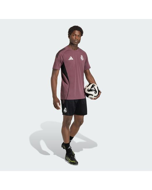 Adidas Black Real Madrid Tiro 25 Competition Training Shorts for men