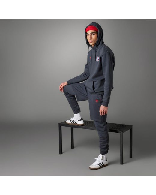 Adidas Blue Fc Bayern Essentials Trefoil Hoodie for men