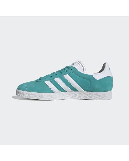 turquoise gazelles