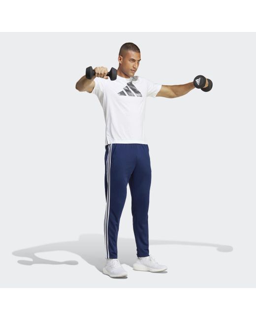 Adidas Blue Train Essentials 3-Stripes Training Joggers for men