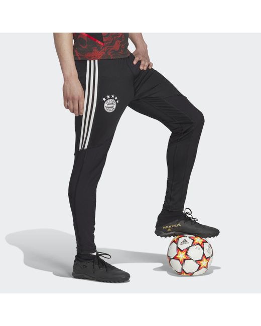 Adidas Black Fc Bayern Condivo 22 Pro Tracksuit Bottoms for men