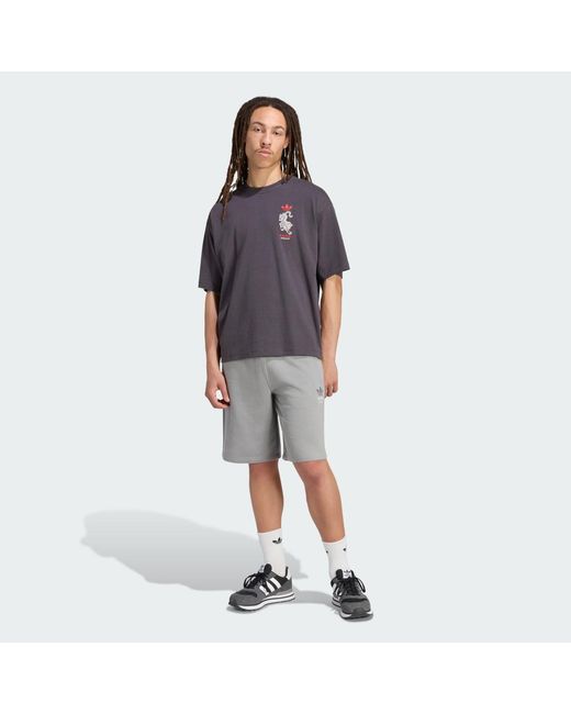 Adidas Gray Cn Tiger Graphic Tee for men