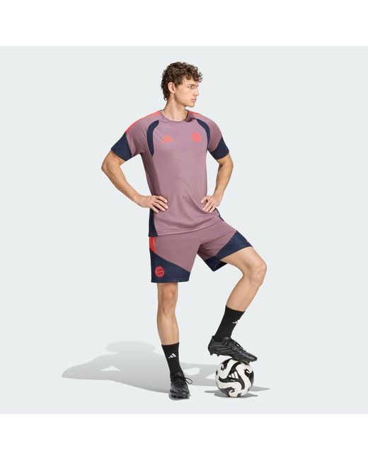 Adidas Purple Fc Bayern 26/27 Cup Training Jersey for men