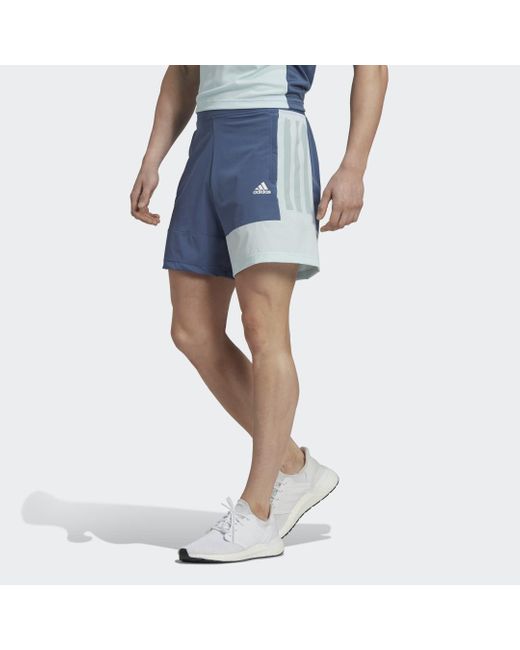 adidas Training Colourblock Shorts in Blau für Herren | Lyst DE
