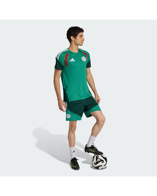 Adidas Green Algeria 26 Training Shorts for men