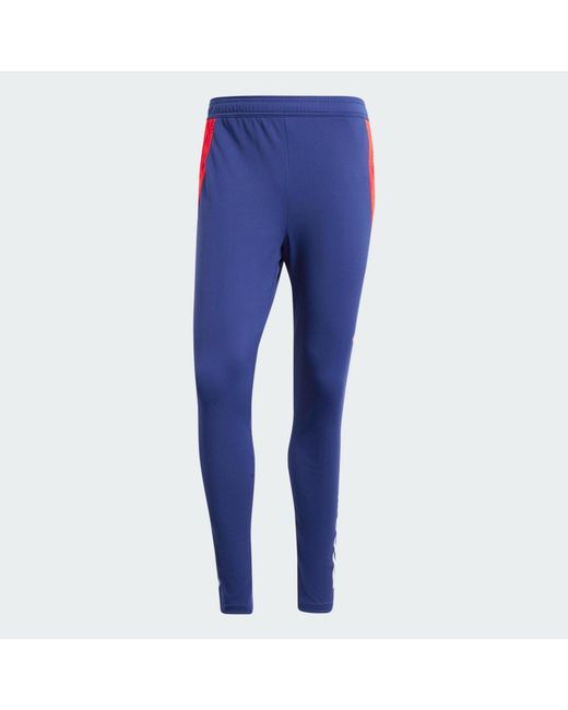 Adidas Blue Olympique Lyonnais Tiro 24 Training Pants for men