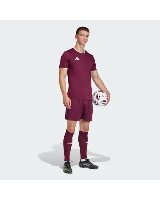 Adidas Purple Entrada26 Jersey for men