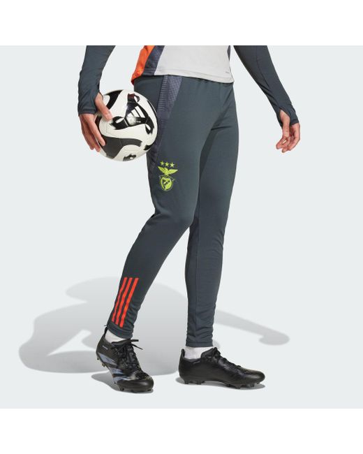 Adidas Originals Blue Benfica Tiro 24 Competition Training Pants for men