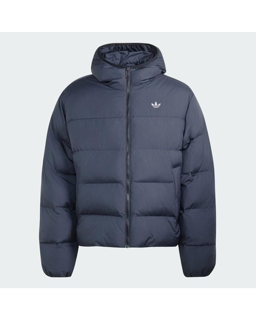 Adidas Blue Hooded Regen Jacket for men