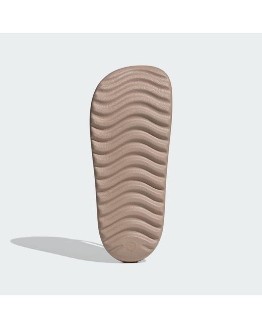 Adidas Brown Adilette Lumia Slides