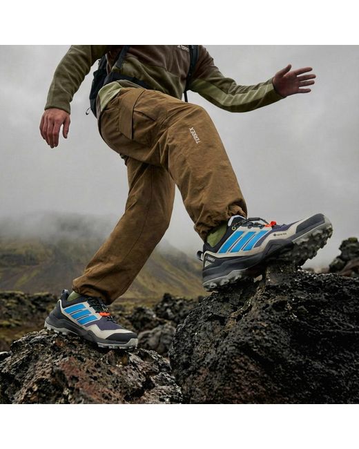 Adidas Blue Terrex Skychaser Gore-Tex Hiking Shoes for men