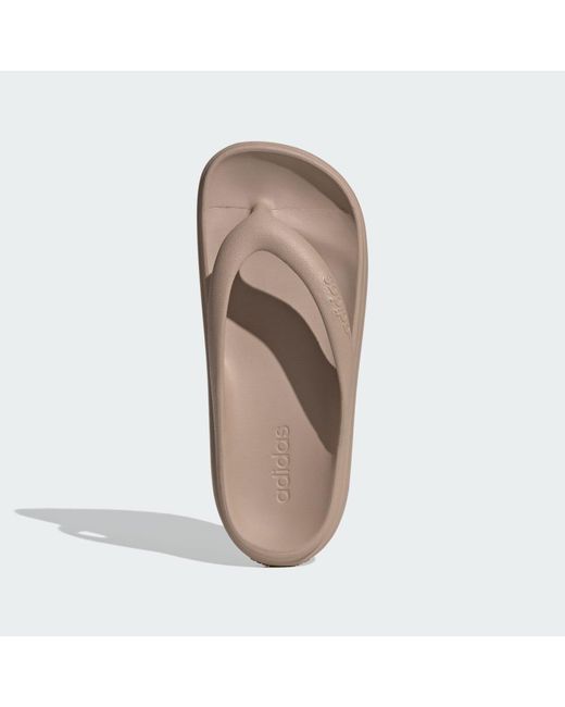 Adidas Brown Adilette Lumia Slides