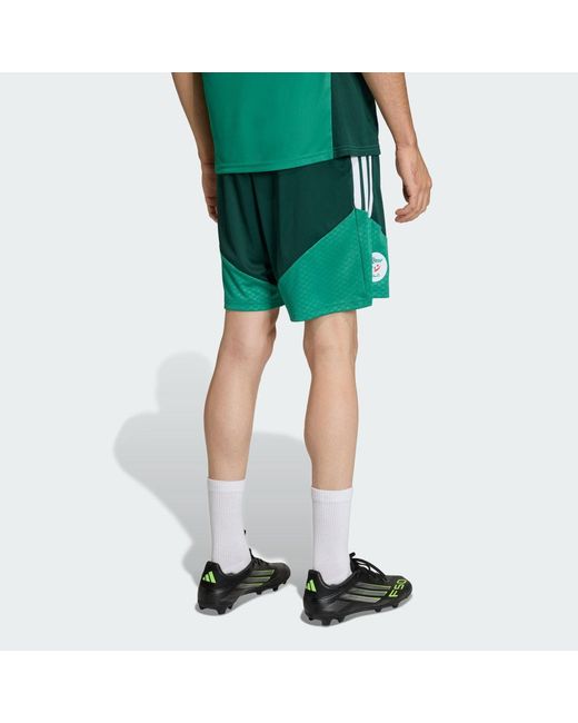 Adidas Green Algeria 26 Training Shorts for men