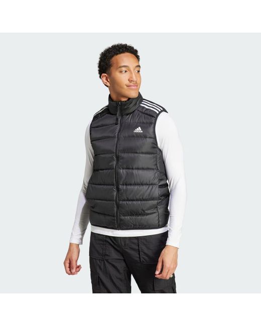Giacca senza maniche imbottita Essentials 3-Stripes Light di Adidas in Gray da Uomo