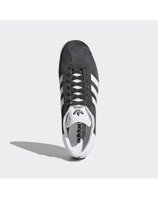 gazelle solid grey