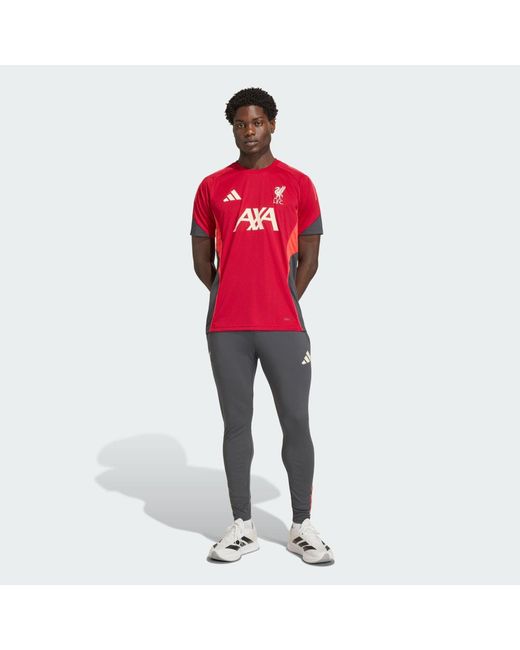 Adidas Red Liverpool Fc Tiro 25 Competition Training Pants for men