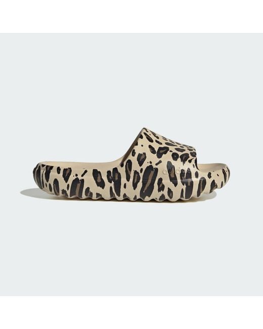 Adidas Multicolor Adilette Lumia Slides