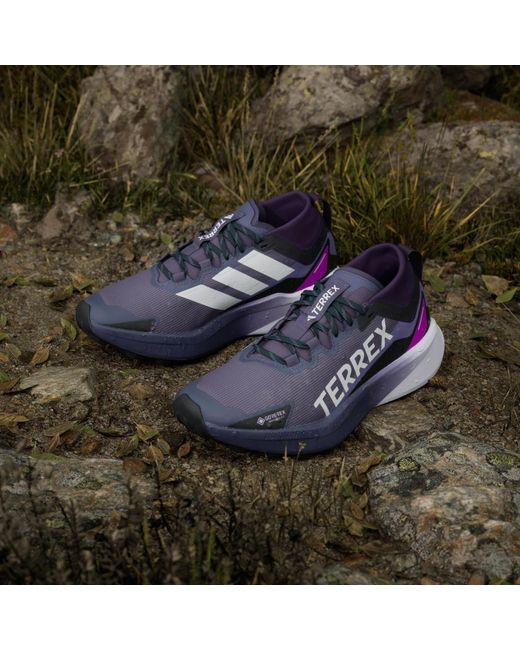 Adidas Blue Terrex Agravic Gtx Trail Running Shoes