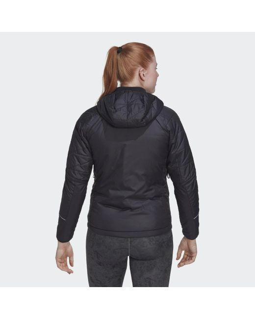 Adidas Blue Terrex Multi Insulated Hooded Jacket