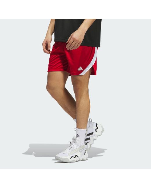 Adidas Red Icon Squad Shorts for men