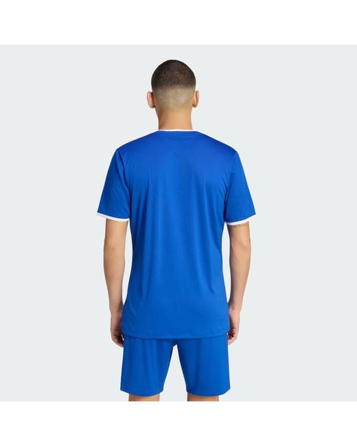 Adidas Blue Entrada26 Jersey for men