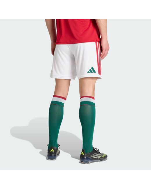 Adidas Red Hungary 26 Home Shorts for men