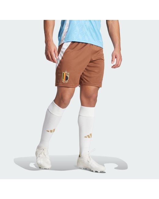 Adidas White Belgium 24 Away Shorts for men
