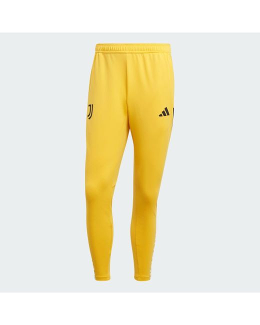 Adidas Yellow Juventus Tiro 23 Training Tracksuit Bottoms for men