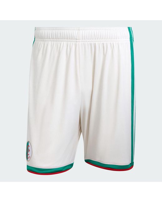 Adidas White Algeria 26 Home Shorts for men