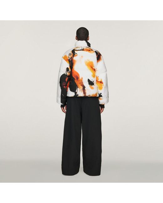 Adidas Black Y-3 Aop Puffer Jacket