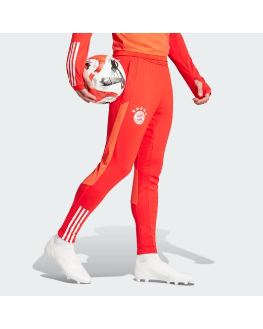 Pantaloni da allenamento Tiro 23 FC Bayern München di Adidas in Red da Uomo